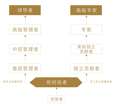 K1体育-十年品牌 值得信任