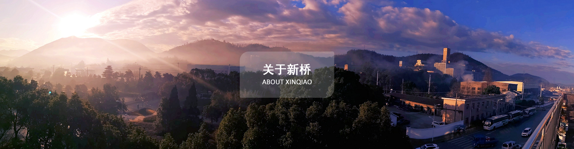 组织架构-银娱优越会官方网站