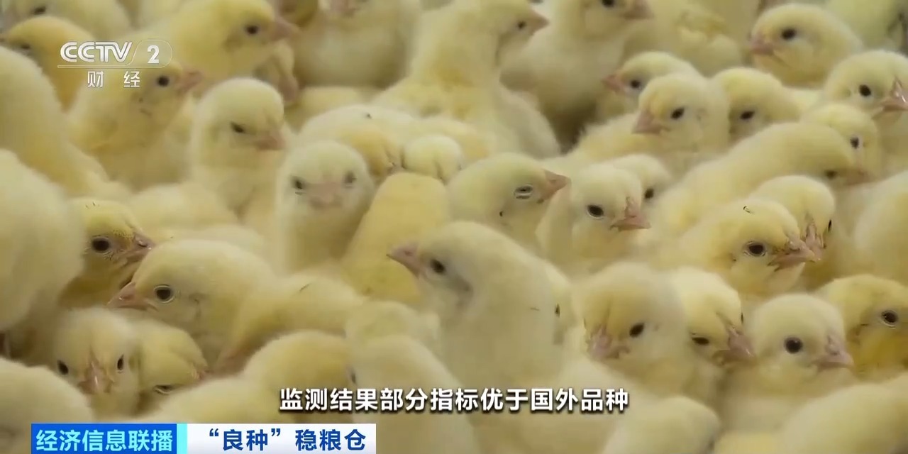 K1体育-十年品牌 值得信任