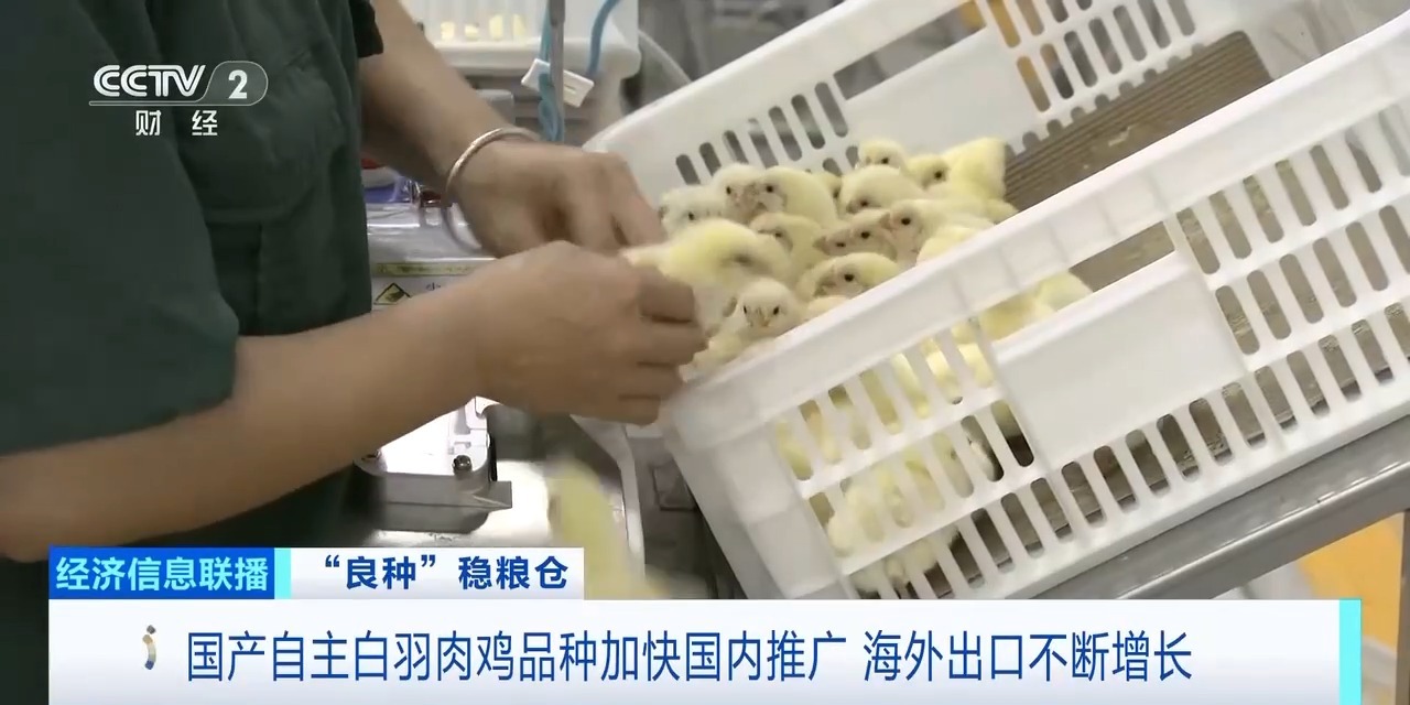 K1体育-十年品牌 值得信任